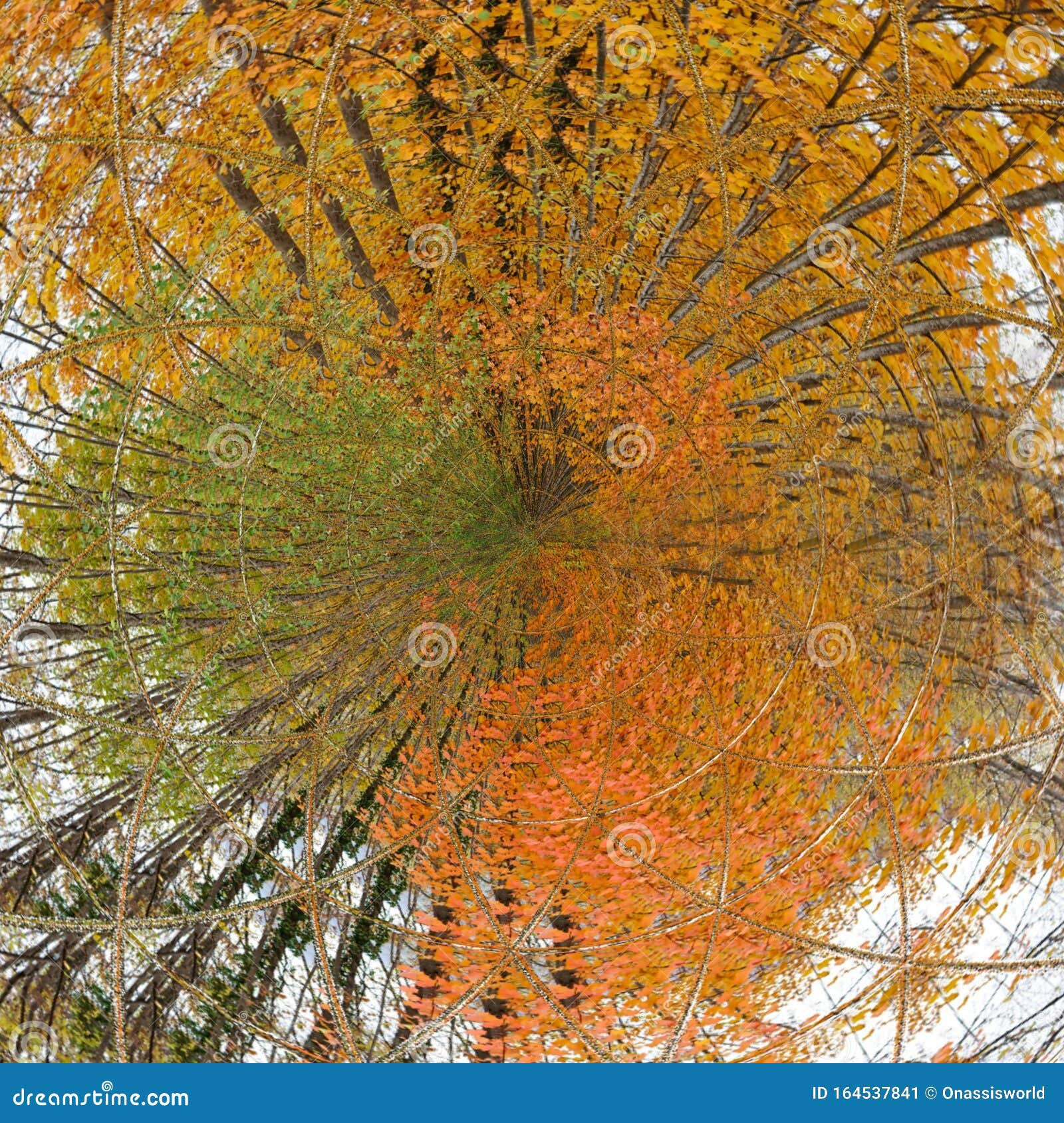 Wallpaper #r2fTEJMBSpphPi3-HPTq209 Autumn Winter Nature Golden Forest Abstract Art Stock Image Image of