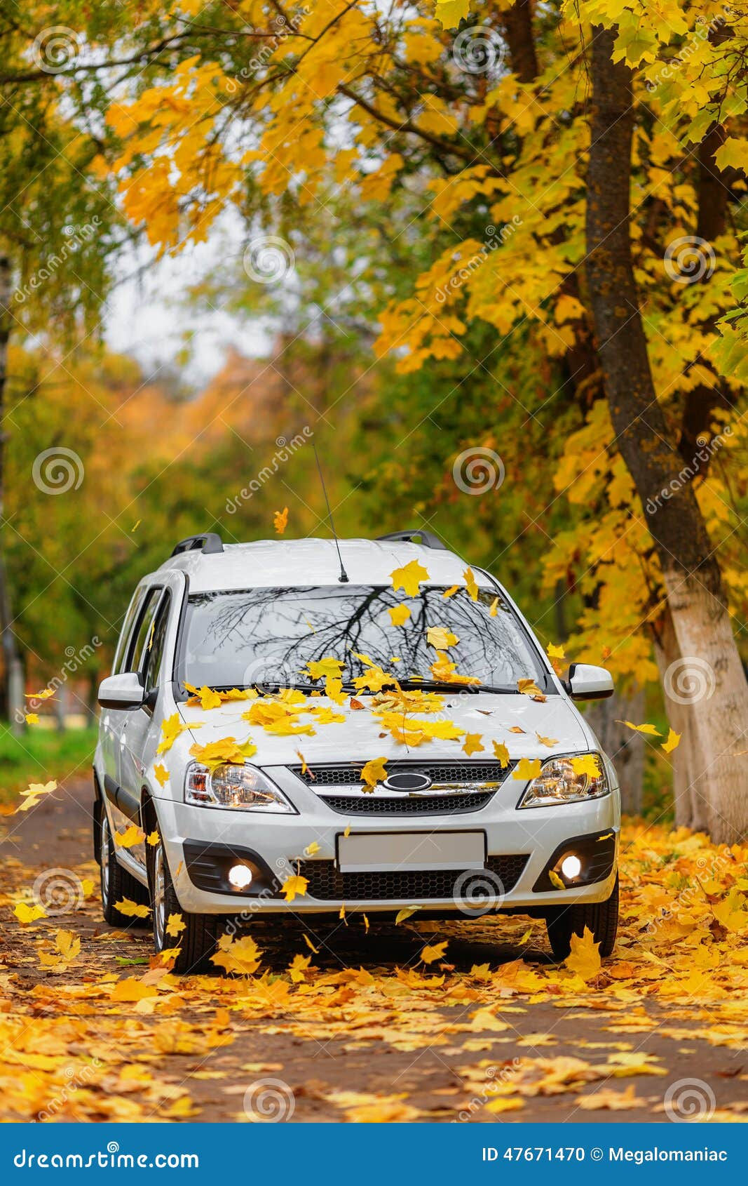 Wallpaper #rWgUHJMBSpphPi3-8SFd66 Car in Autumn Forest Stock Photo Image of Action Powerful 47671470