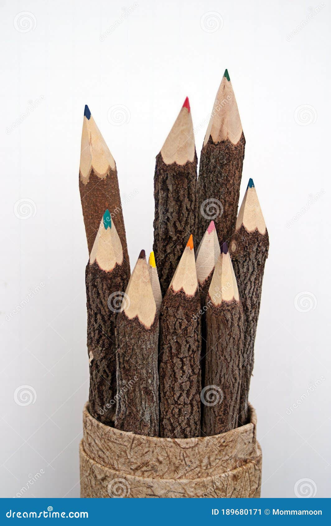 Wallpaper #BWgvFZMBSpphPi3-Zwec271 Color Pencils Made from Tree Limbs Stock Image Image of Green Tools
