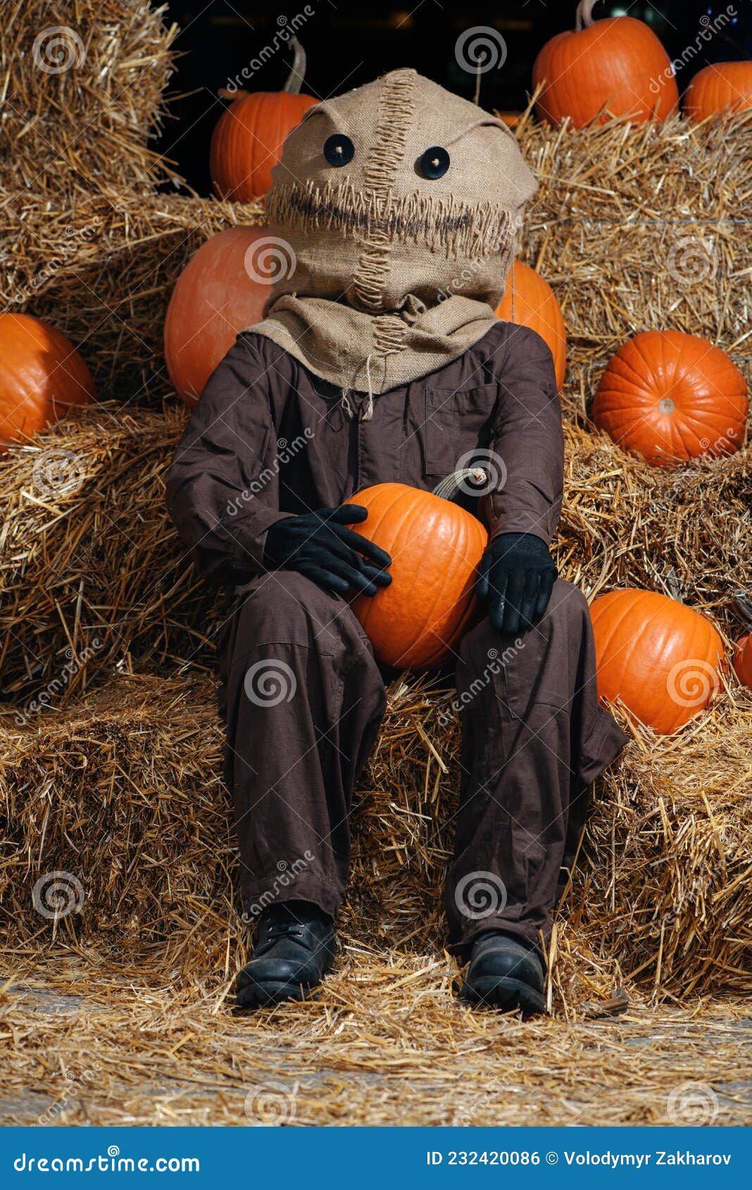 Wallpaper #XmeqDpMBSpphPi3-C-vd223 Creepy Halloween Scarecrow with Patched Burlap Head with Button Eyes
