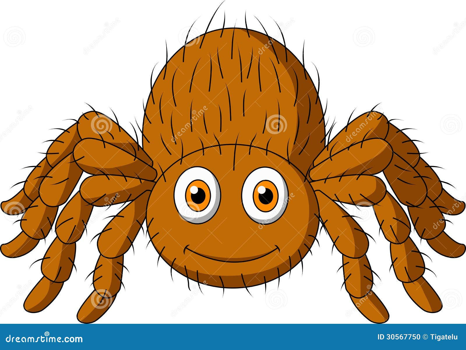 Wallpaper #46455 Brown Spider Cartoon Isolated Illustration Stock Vector Image Art Alamy