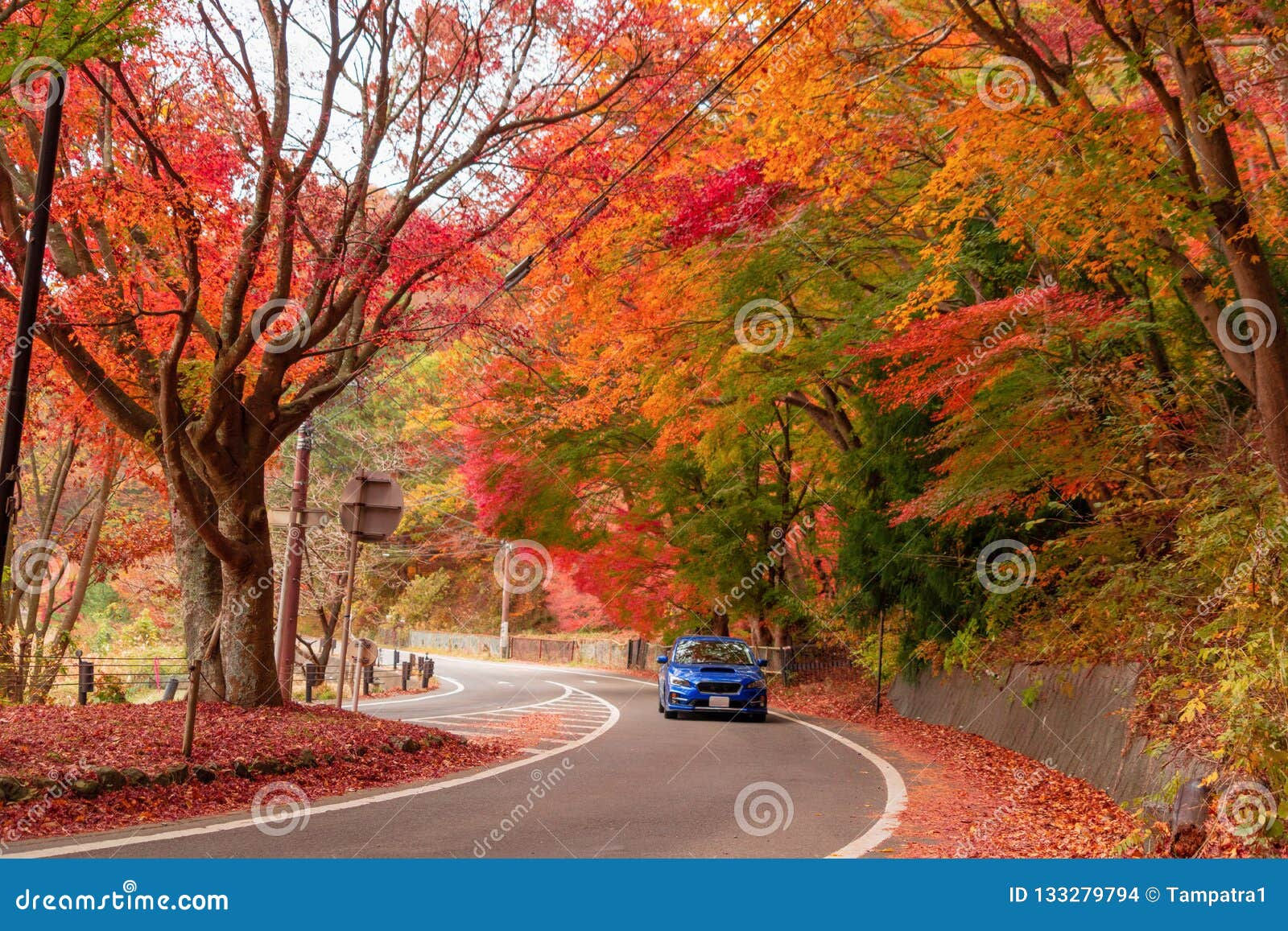 Wallpaper #rWgUHJMBSpphPi3-8SFd76 A Car Driving on Road Path with Red Fall Foliage in Autumn Near Stock