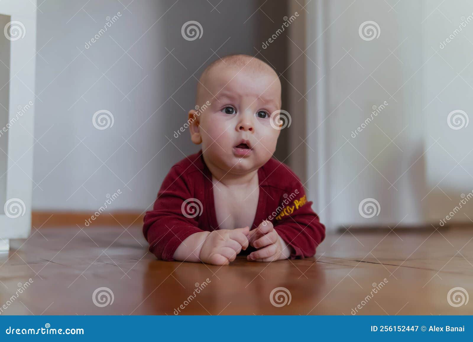 Wallpaper #9mdFCpMBSpphPi3-NNO0166 Cute Baby Crawling on the Floor Looking at Parents Stock Image Image