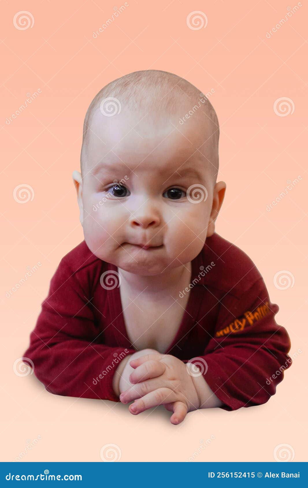 Wallpaper #9mdFCpMBSpphPi3-NNO0394 Cute Baby Crawling on the Floor Looking to the Camera Stock Image