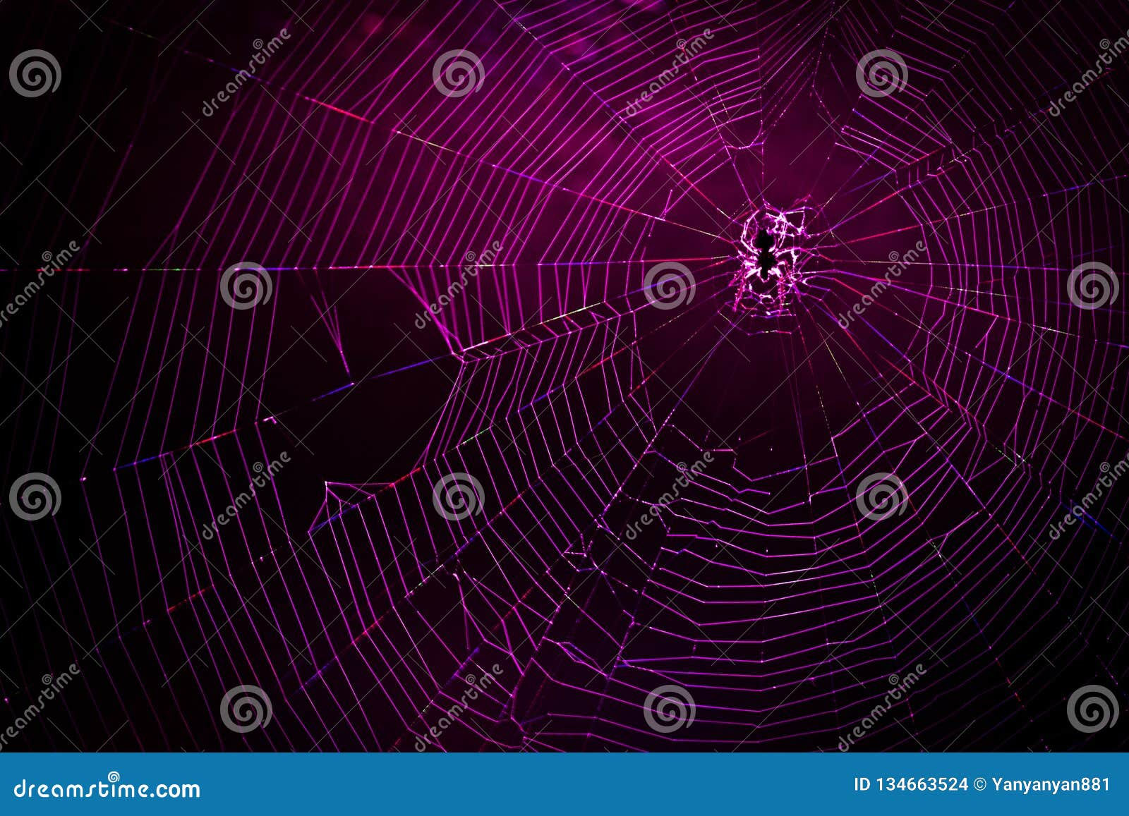 Wallpaper #zpwf4pIBZHQxiYarj74D335 Connection Concept of Spider Web Back Lighted by LED Lights Stock
