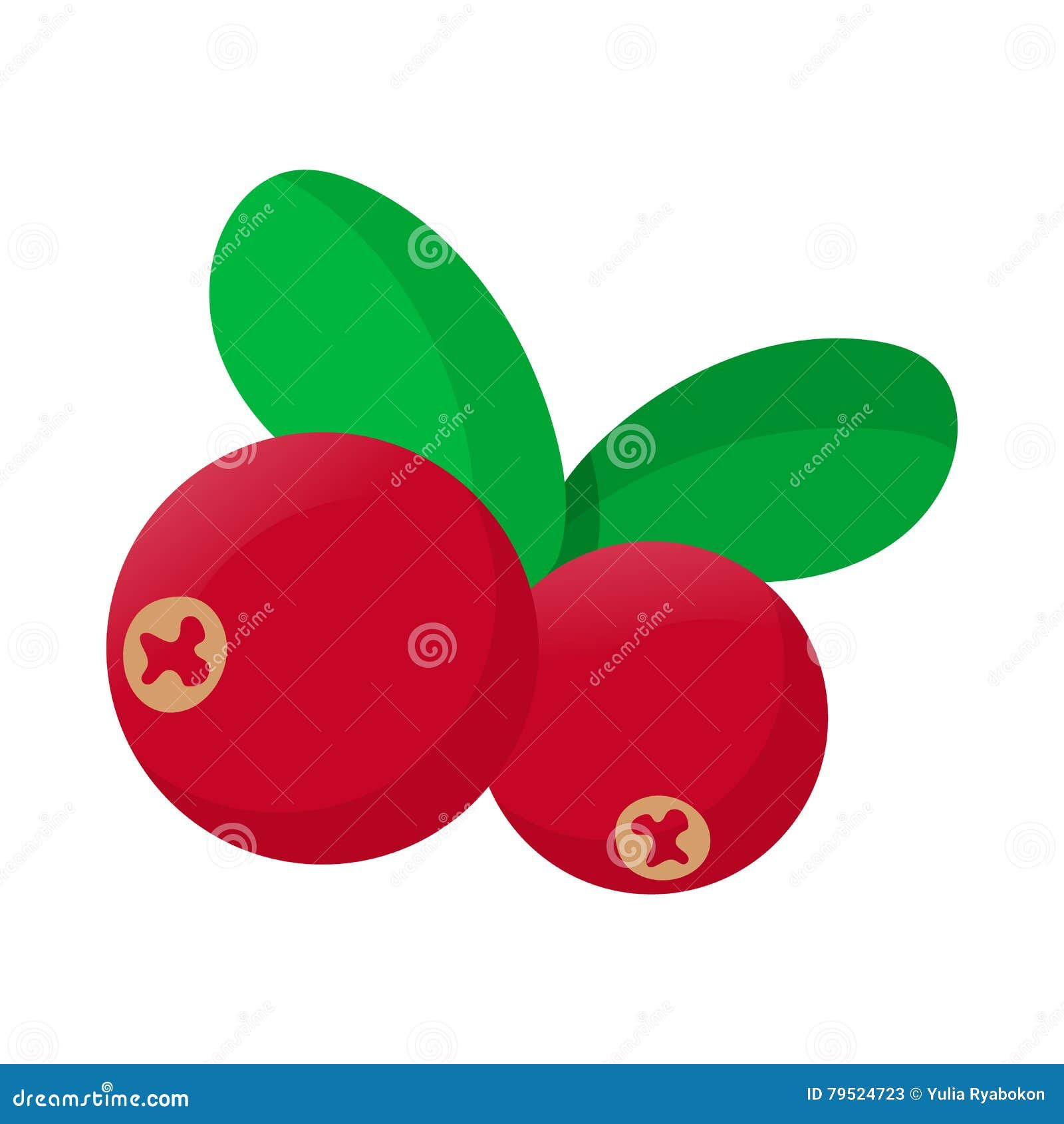 Wallpaper #3DD19 Cranberries Juice Vector 167451 Vector Art at Vecteezy