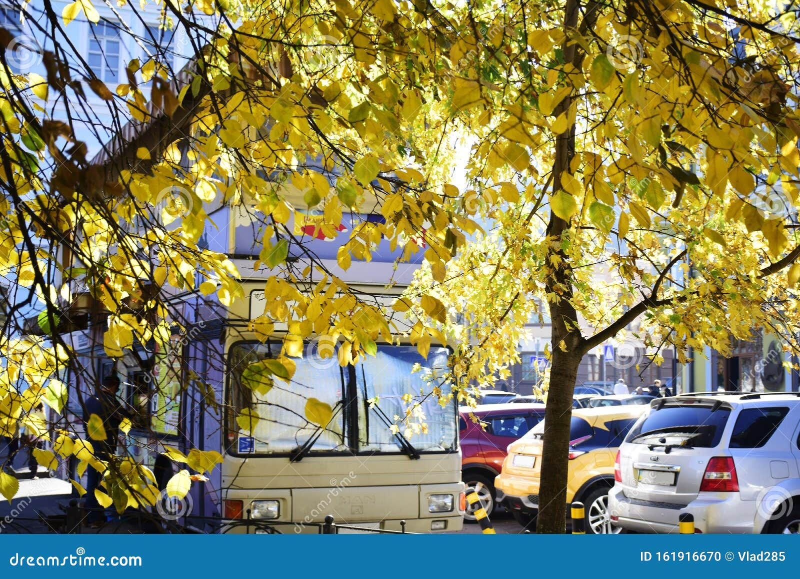 Wallpaper #rWgUHJMBSpphPi3-8SFd135 City Street in Autumn Cars Parked at Road Under Colorful Tree Branches
