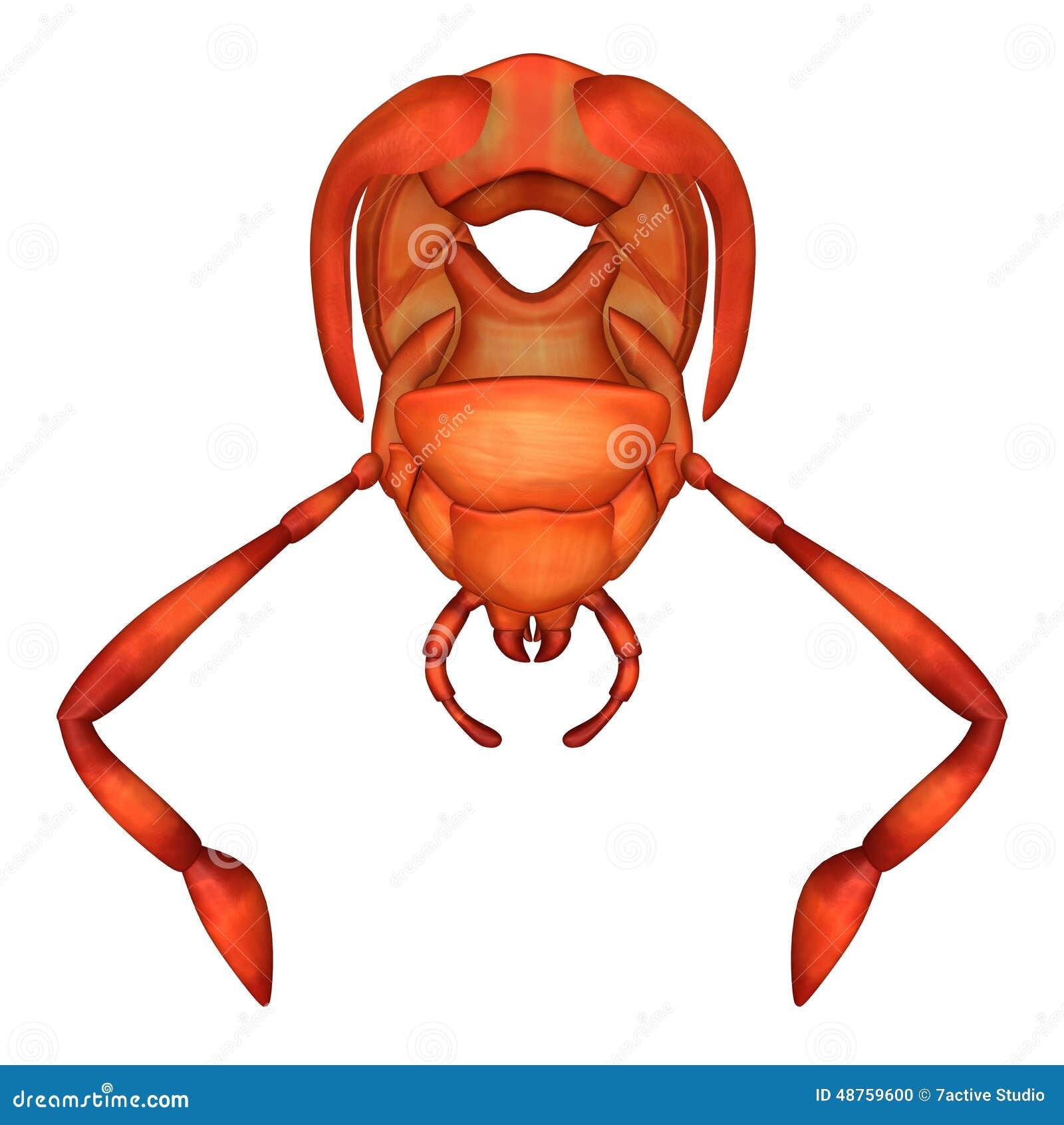 Wallpaper #SWdXCpMBSpphPi3-q9Qk298 Cockroach Mouth Stock Illustration Illustration of Color 48759600