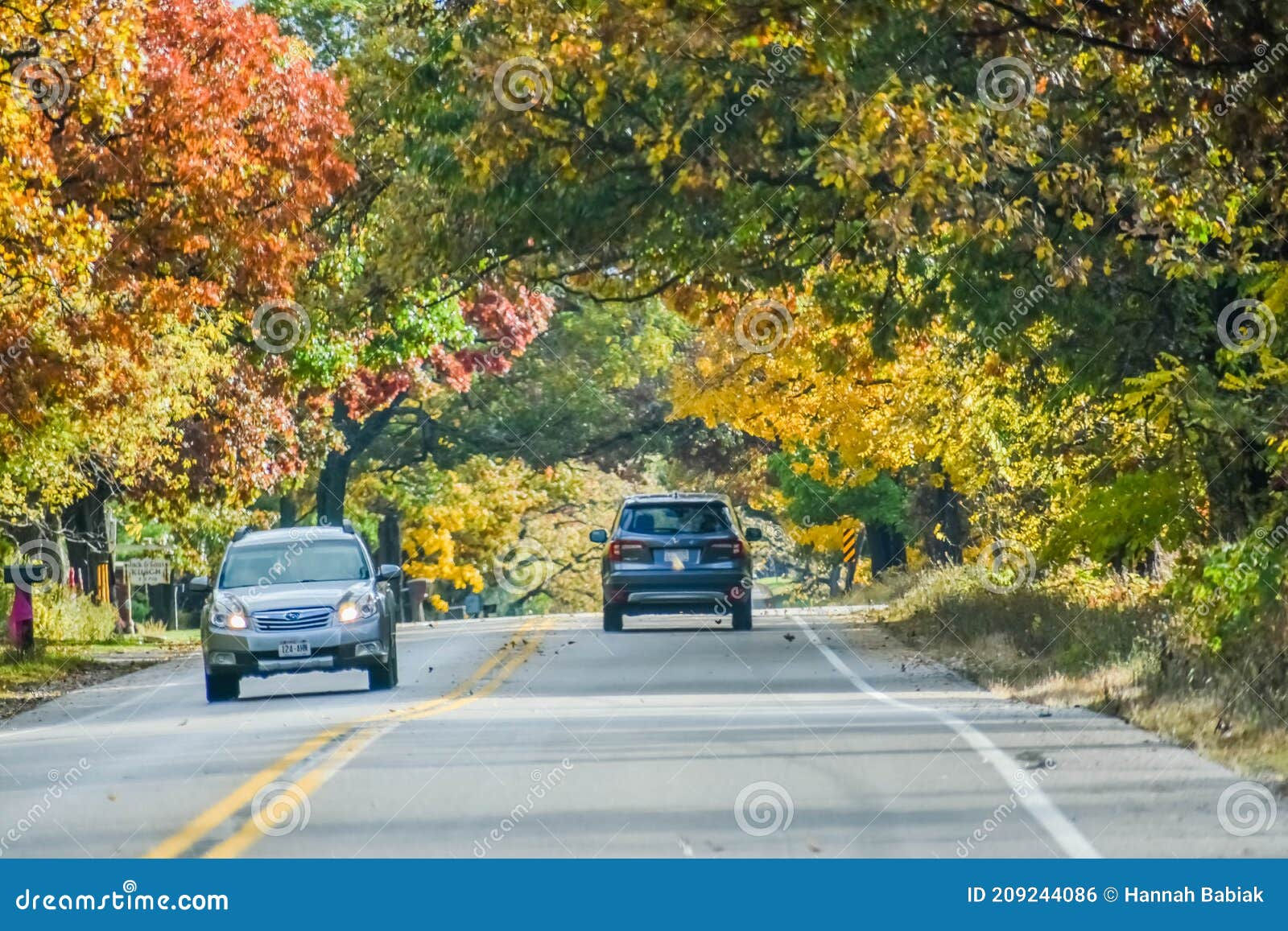 Wallpaper #rWgUHJMBSpphPi3-8SFd98 Cars Driving Through Autumn Colored Canopy on Road Editorial Photo