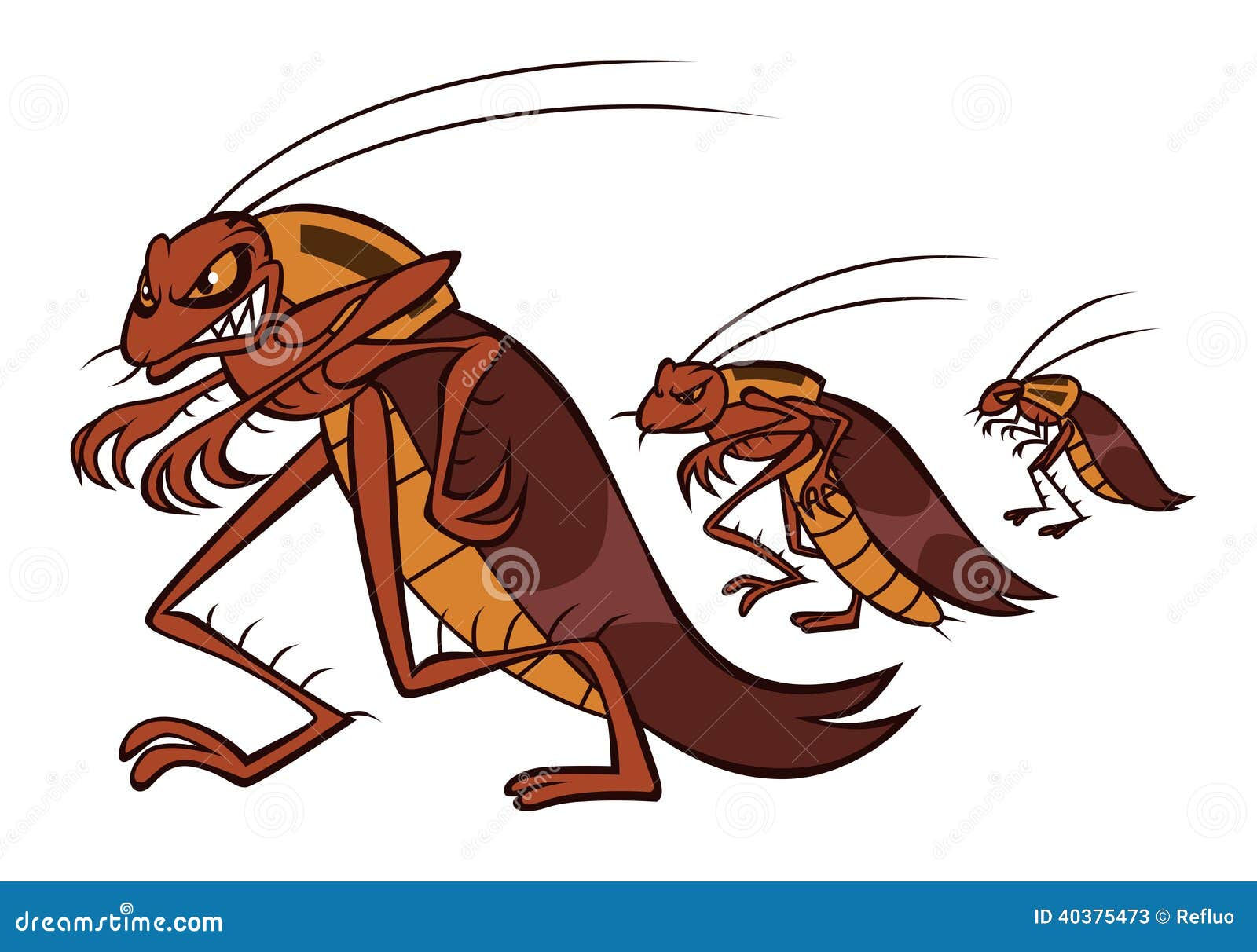 Wallpaper #SWdXCpMBSpphPi3-q9Qk267 Cockroaches Cartoons Illustrations Vector Stock Images 907