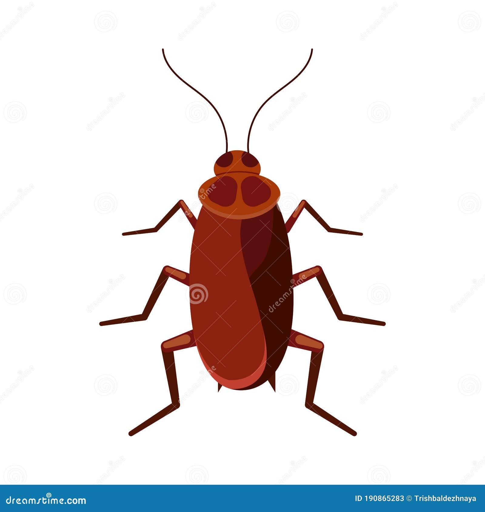 Wallpaper #SWdXCpMBSpphPi3-q9Qk235 Cockroach Vector Icon Isolated on White Background Stock Vector