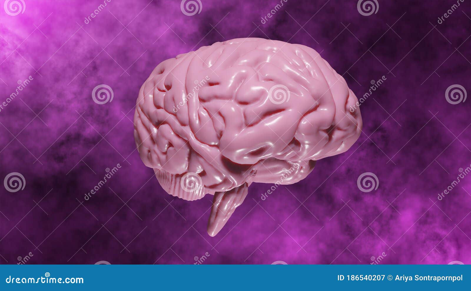 Wallpaper #WWdkEpMBSpphPi3-tvsO352 Realistic Brain from Side or Front View Isolated on a White Background
