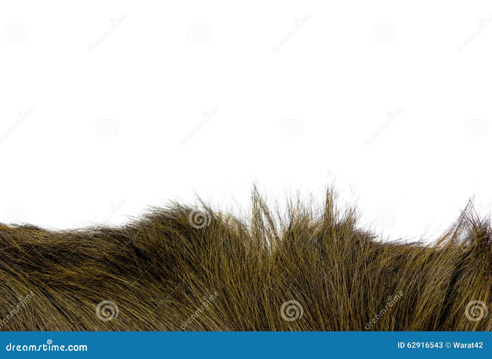 Wallpaper #wnfOJZMB-pgBXx60tp_N165 Yellow Color Hair Texture on Background Stock Image Image of Lock