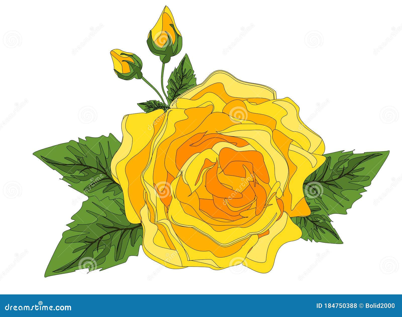 Wallpaper #Hx38KZMBlOZrFDOkzsOQ283 One Yellow Rose Stock Illustration Illustration of Passion 184750388