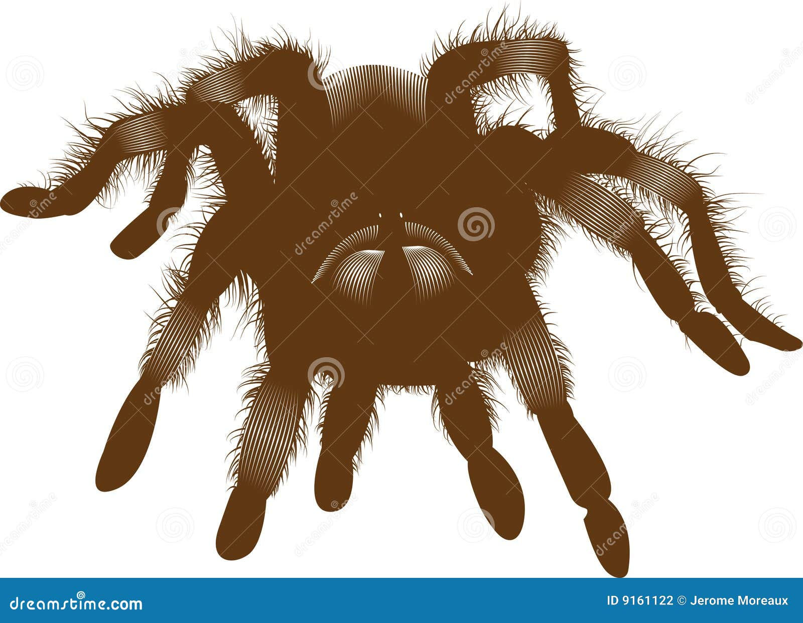 Wallpaper #46455 Brown Spider Cartoon Isolated Illustration Stock Vector Image Art Alamy