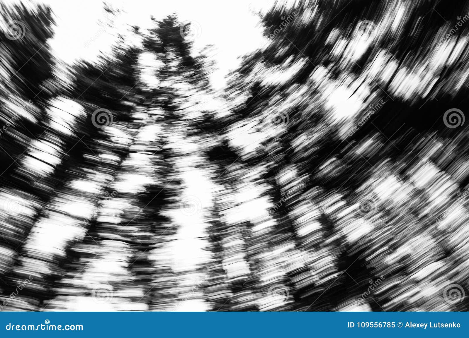 Wallpaper #r2fTEJMBSpphPi3-HPTq312 Blurry Motion Pine Forest Abstract Landscape Stock Image Image of