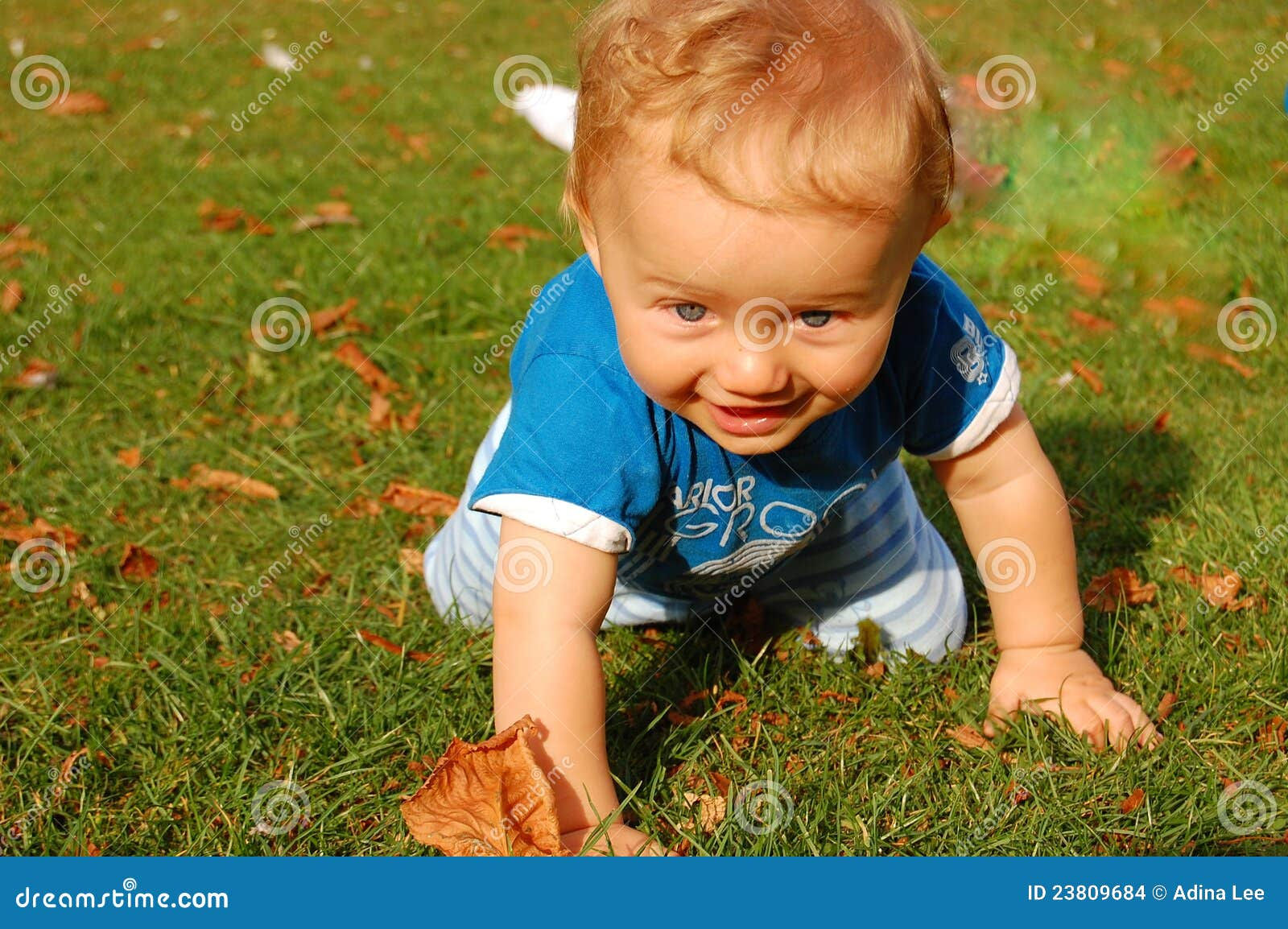 Wallpaper #vmczCZMBSpphPi3-o86c146 Baby Crawling Stock Photo Image of Baby Wildlife Smile 23809684