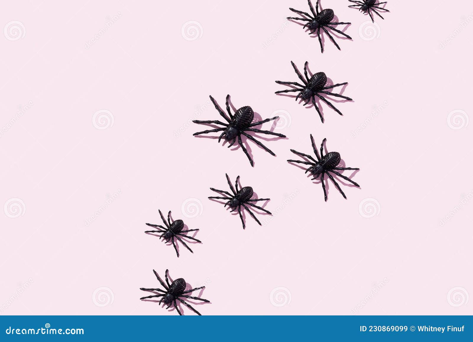 Wallpaper #HGcYCpMBSpphPi3-btPW191 Black Skeleton Spiders Crawl Across a Light Pink Background for a