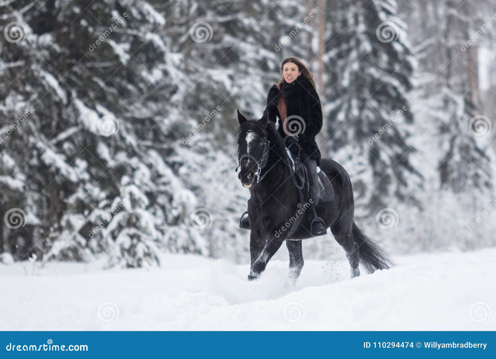 Wallpaper #Rmc1DJMBSpphPi3-Bt0d18 Black Horse Running in Snow on Winter Background Stock Photo Image of