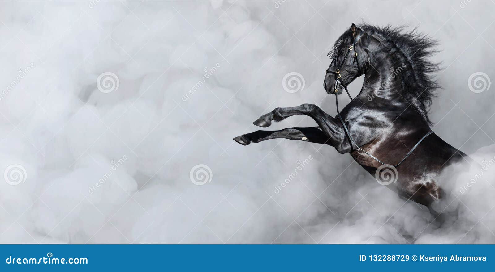 Wallpaper #-2cU-ZIBSpphPi3-KovY47 Rearing Black Stallion