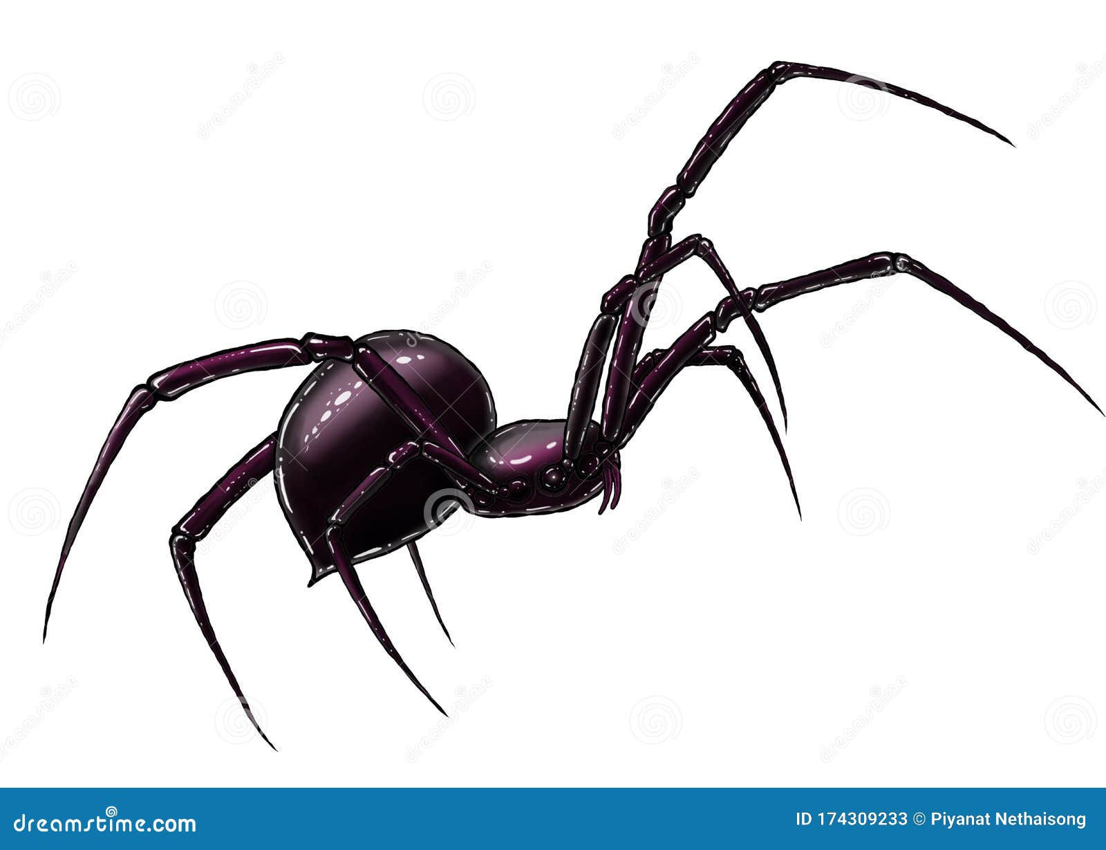 Wallpaper #eSyLSZMB0E1QgA7w3fNk71 Spider Art Drawing Illustration Rebecca Starnes