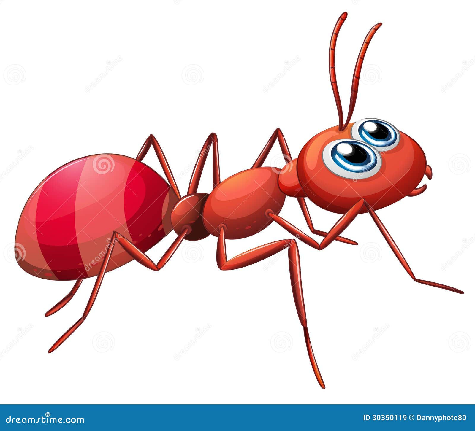 Wallpaper #zGexDZMBSpphPi3-sebl366 A Big Ant Crawling Stock Vector Image of Ants Picture 30350119