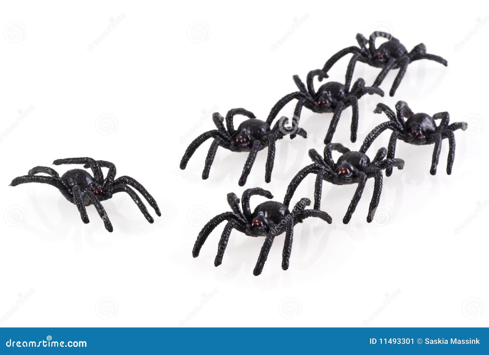 Wallpaper #GfQnOpMBKFX8bn3r3Xh8223 Big Black Spiders Stock Image Image of Fall Halloween 11493301