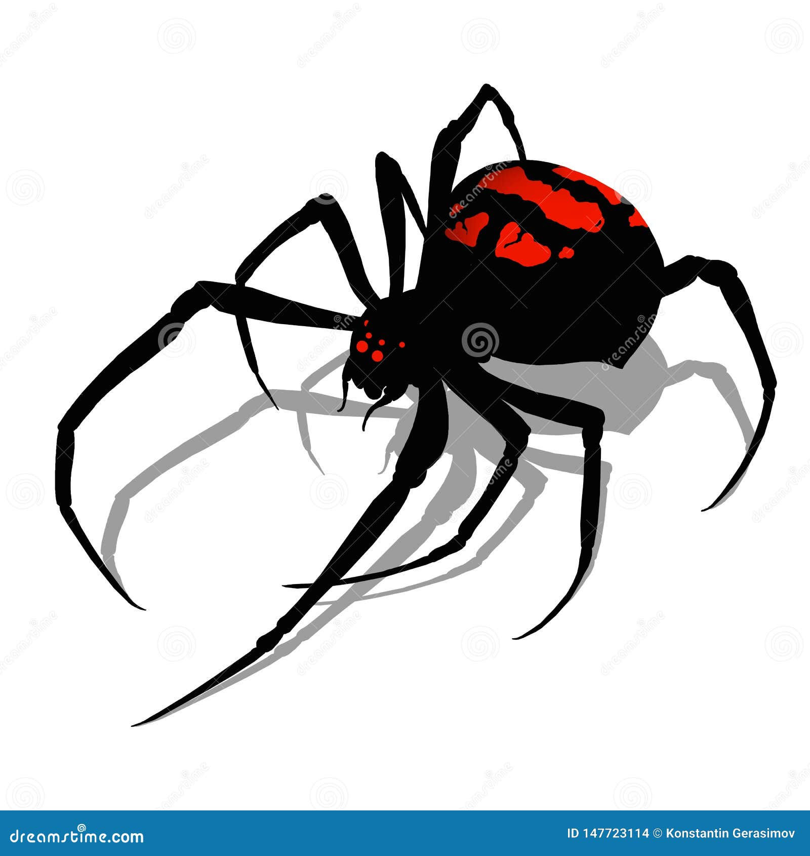 Wallpaper #5vQUOpMBKFX8bn3rPHdj325 Black Widow Spider on White Background Realistic Illustration Isolate