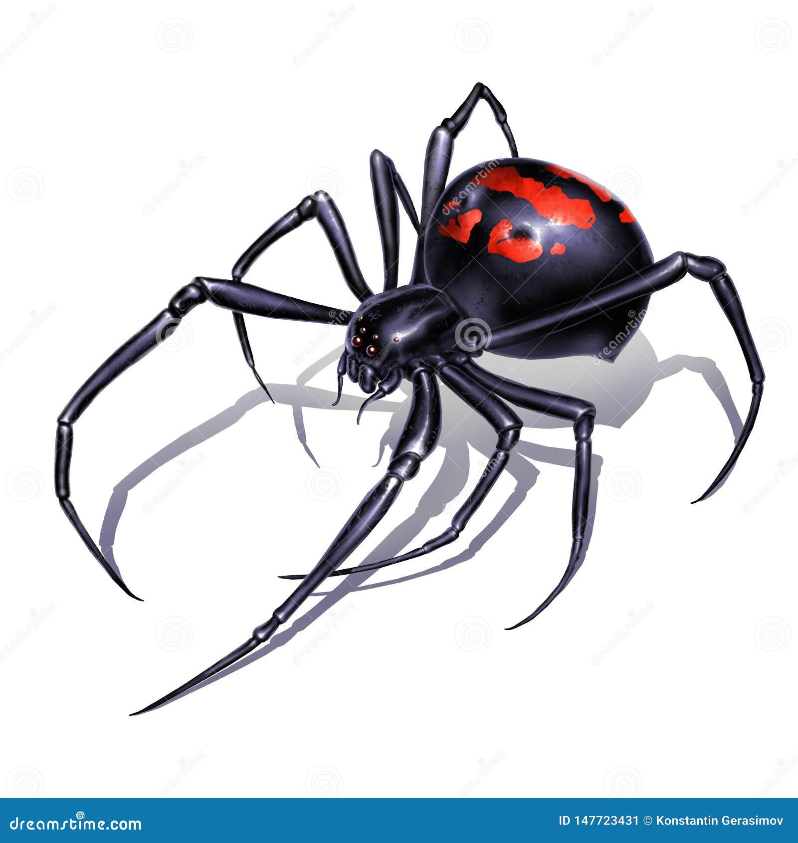 Wallpaper #BBkLE48BtGB6xQ78G2W816 Black Widow Spider Vector Illustration Cartoondealercom 33879760