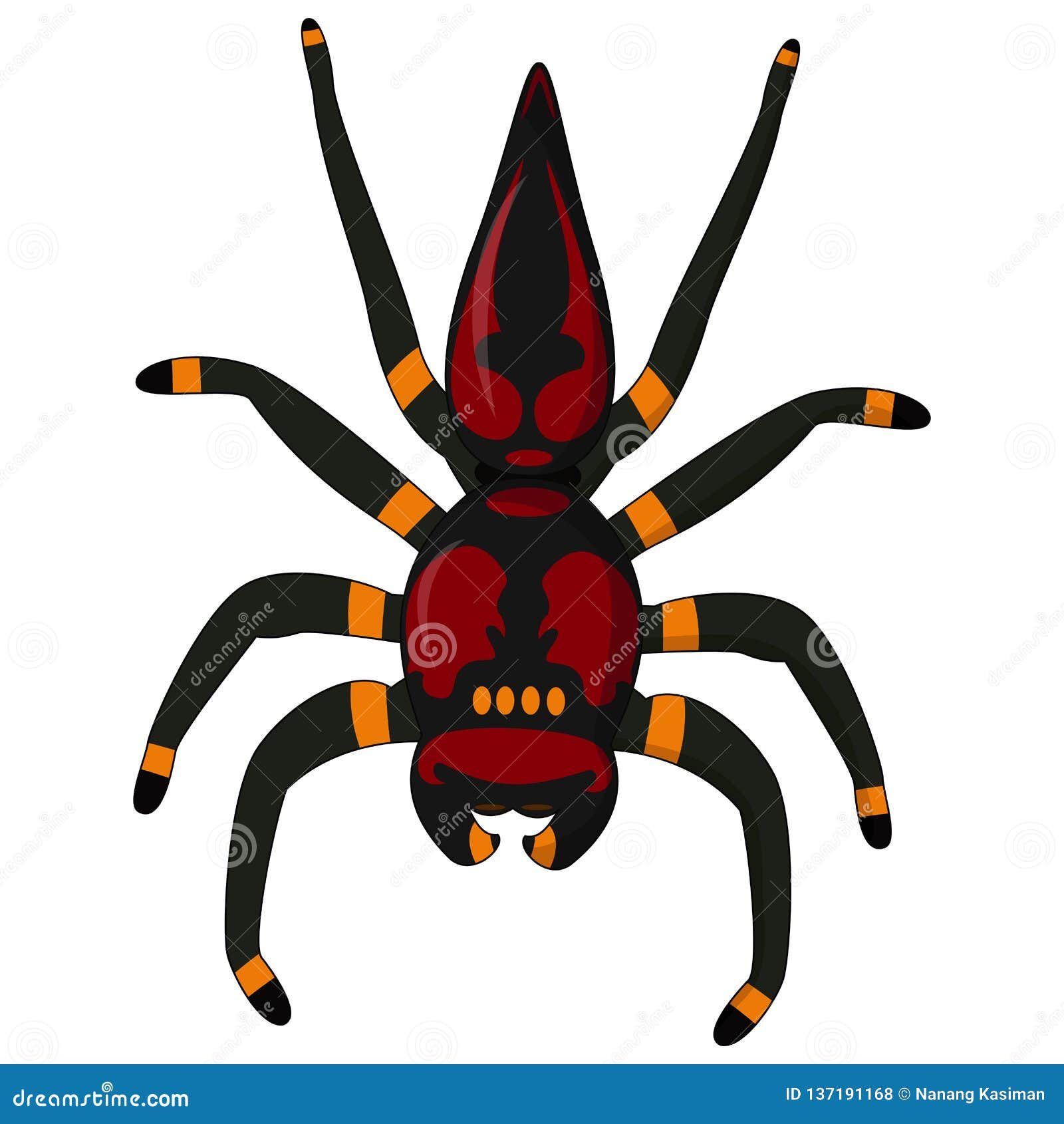 Wallpaper #5vQUOpMBKFX8bn3rPHdj323 Black Widow Spider Red Back Spider Isolated on White Background Stock