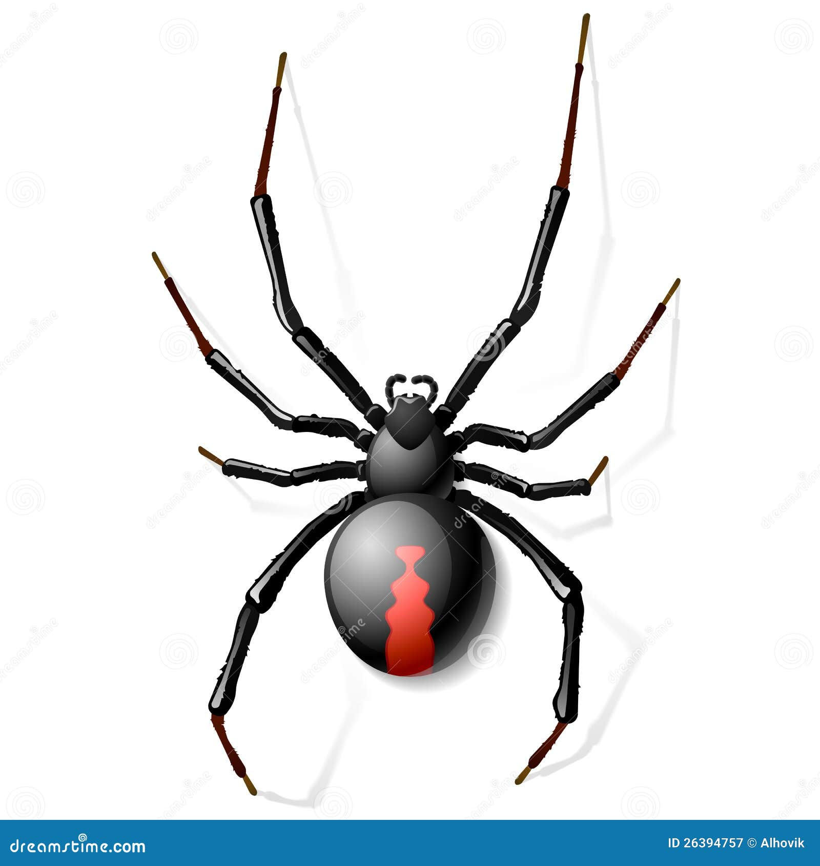 Wallpaper #5vQUOpMBKFX8bn3rPHdj355 Black Widow Spider Stock Illustrations 4409 Black Widow Spider Stock