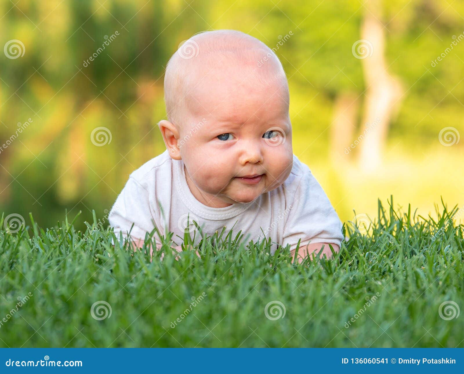 Wallpaper #9mdFCpMBSpphPi3-NNO0392 Baby Crawling on the Green Lawn at Sunset and Looking with a Sly Grin
