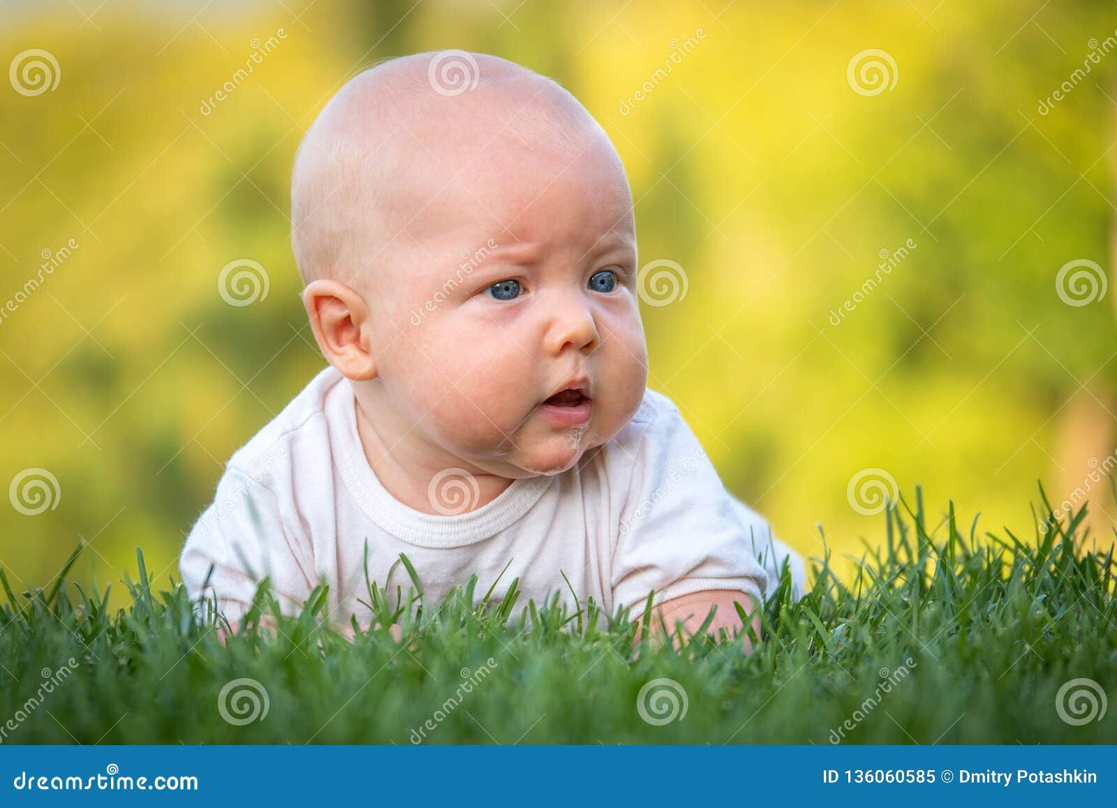 Wallpaper #vmczCZMBSpphPi3-o86c278 Baby Crawling on a Green Lawn at Sunset and Looks Indignantly Stock