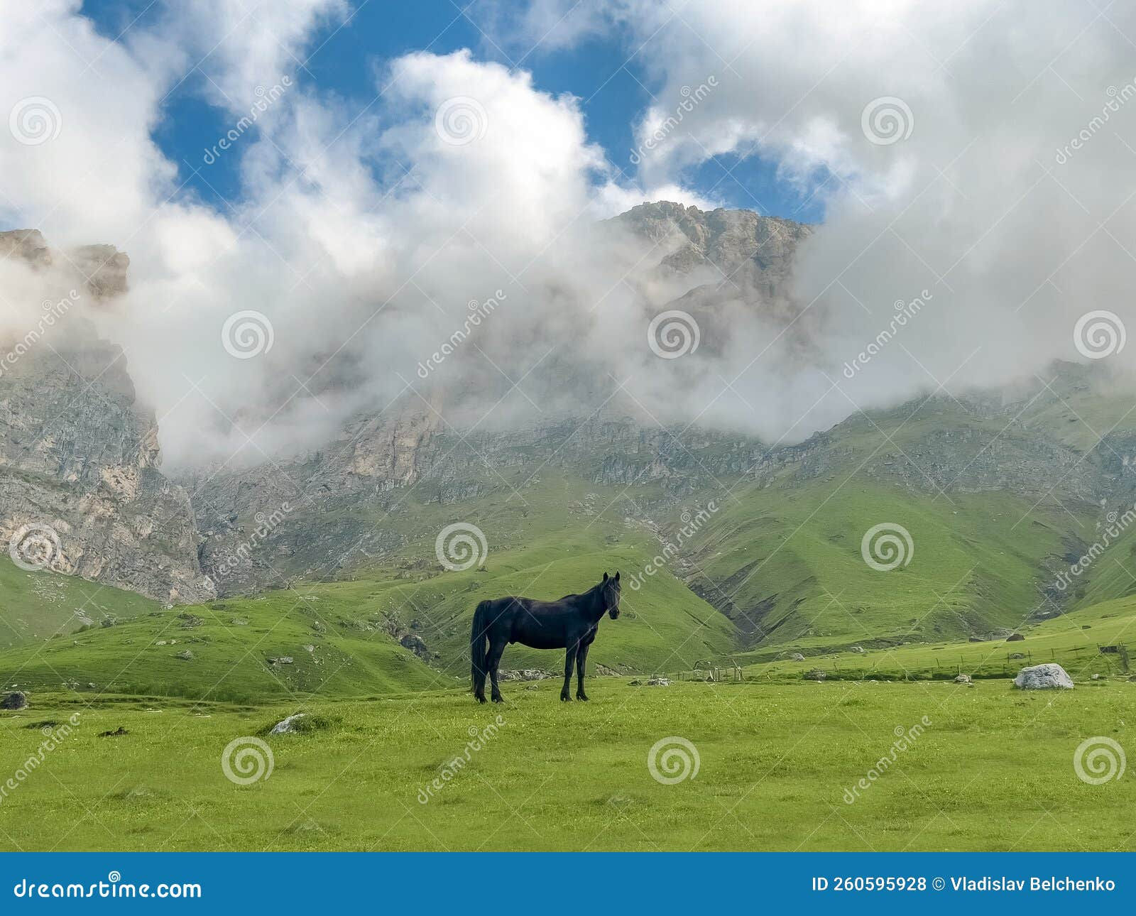 Wallpaper #Rmc1DJMBSpphPi3-Bt0d188 Black Horse with Mountains and Clouds Amazing Landscape Stock Photo