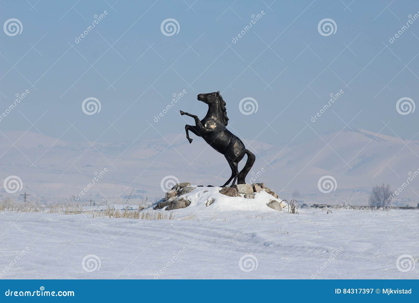 Wallpaper #-2cU-ZIBSpphPi3-KovY193 Black Metal Stallion Rearing Stock Image Image of Rearing Black