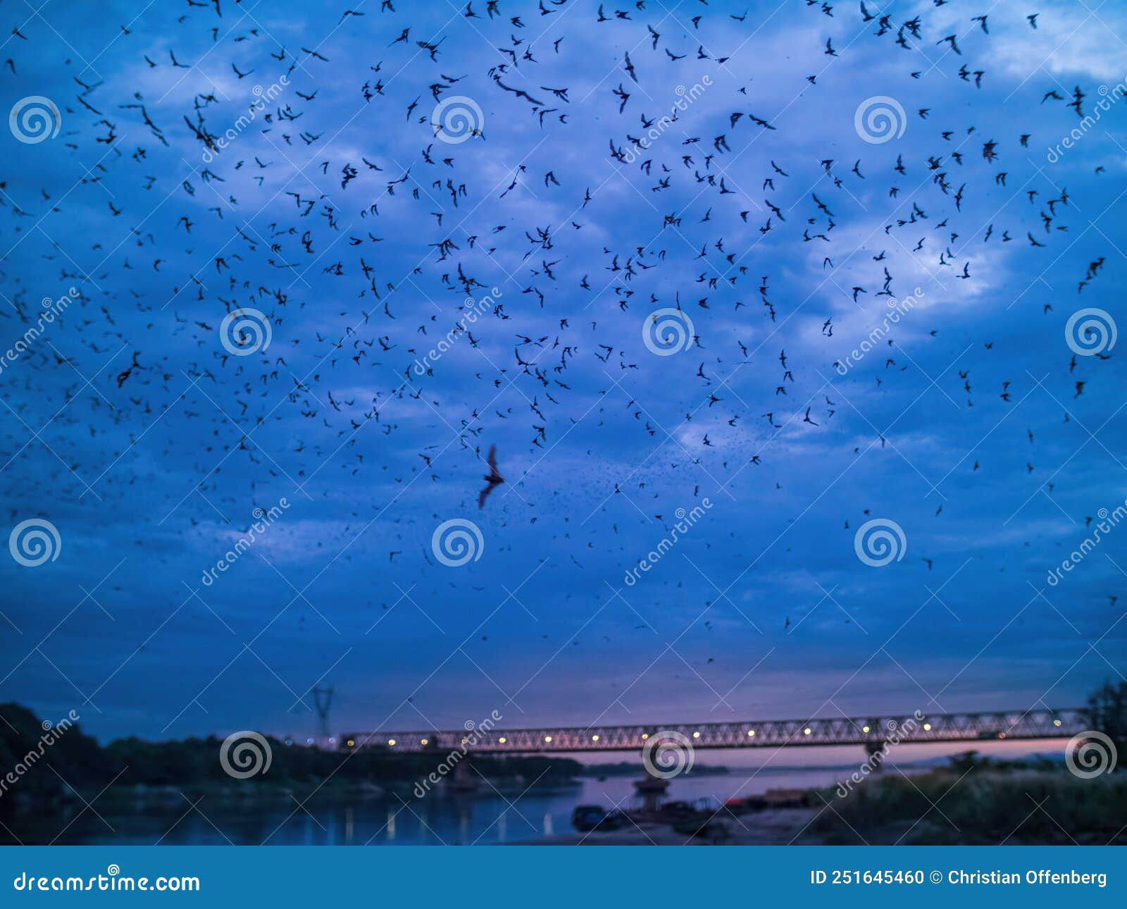 Wallpaper #shnGHY8BtGB6xQ78GHfJ15 Countless Bats Swarming Out in the Evening Dusk Over Bridge and River