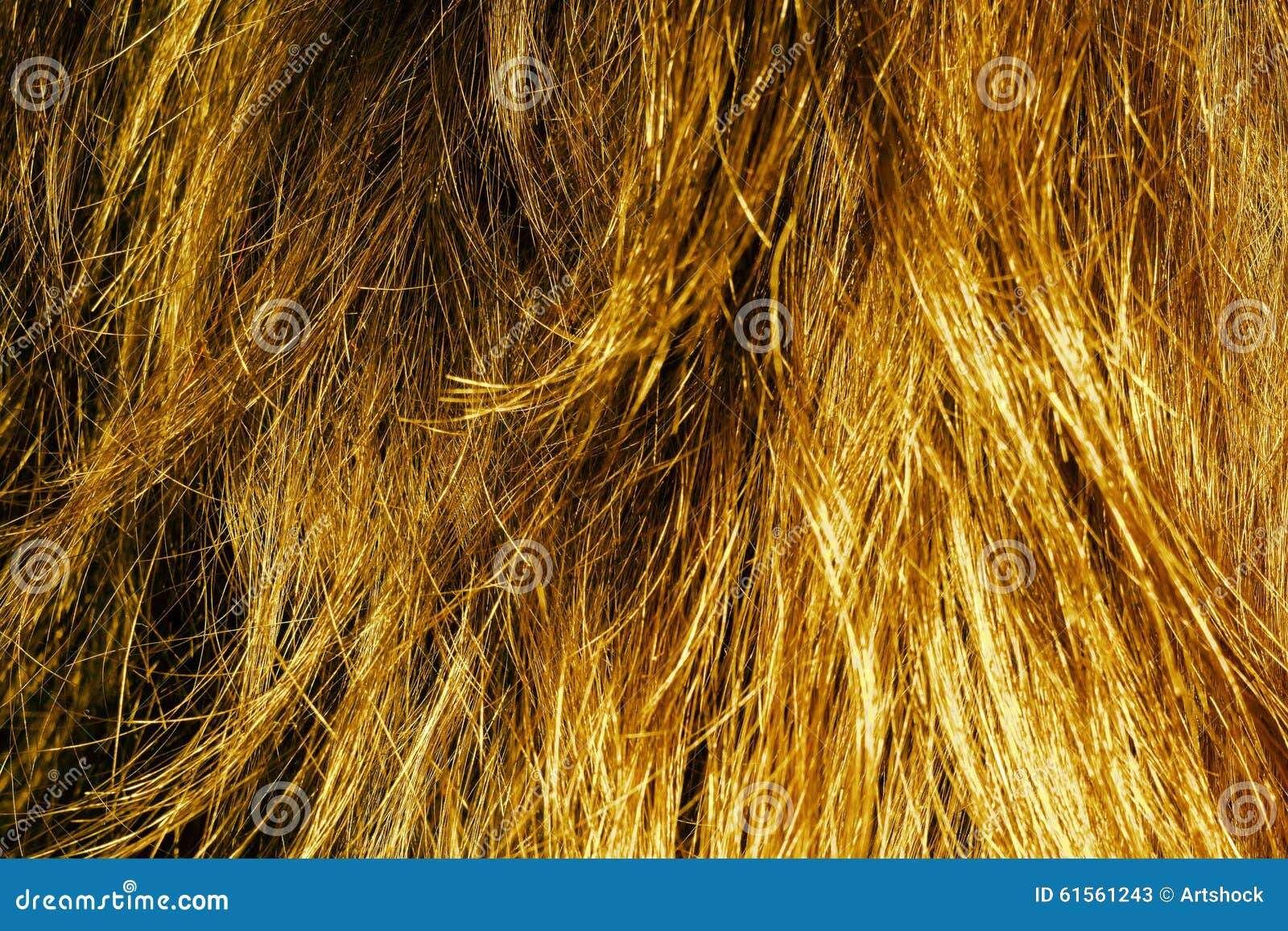 Wallpaper #wnfOJZMB-pgBXx60tp_N82 Blond Hair Texture Stock Image Image of Female Clean 61561243