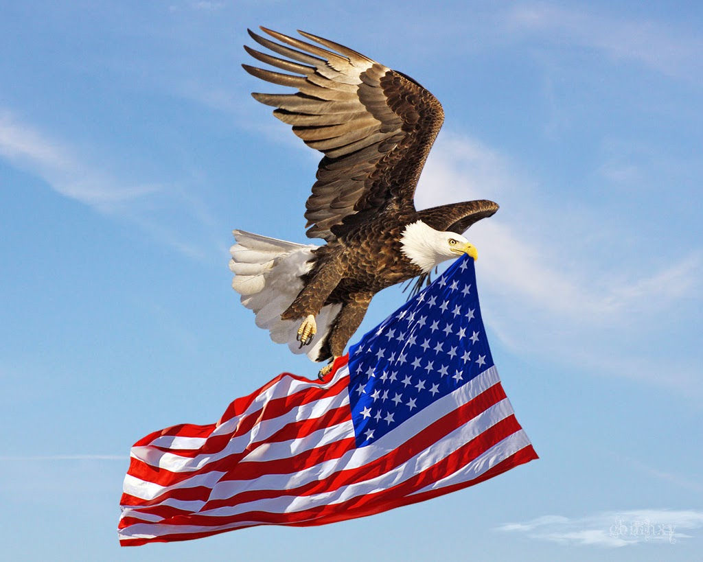 Wallpaper #6ef95 11209 Gier Eagle Images Stock Photos Vectors Shutterstock