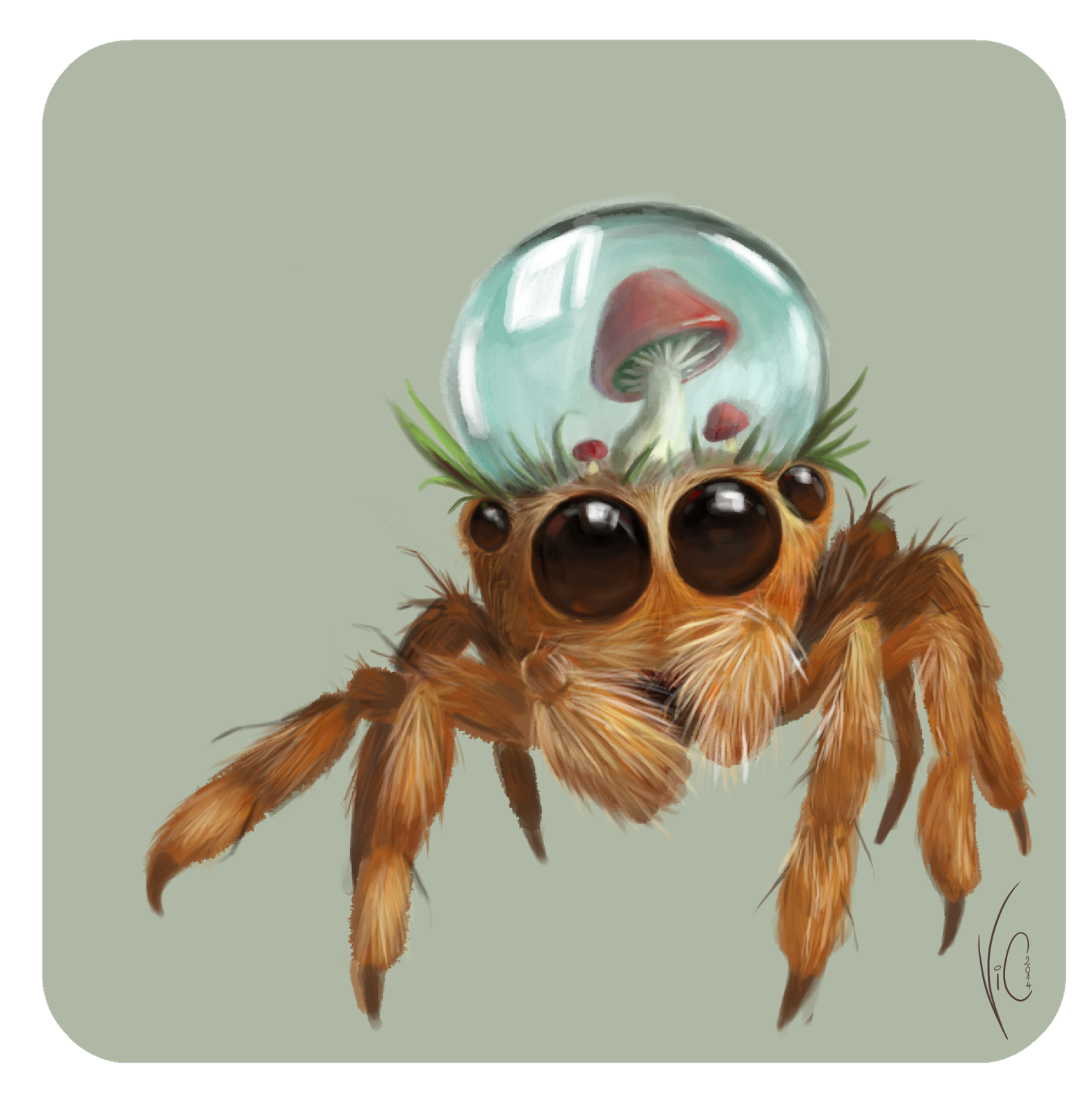 Wallpaper #wmfS65IBSpphPi3-9k4K337 Hybrid Jump Spider by Vicoline Art Spider Art Spider Drawing Spider