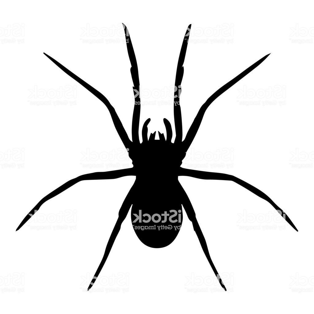 Wallpaper #52dP85IBSpphPi3-BnRA243 Spider Web Vector Png at Vectorifiedcom Collection of Spider Web