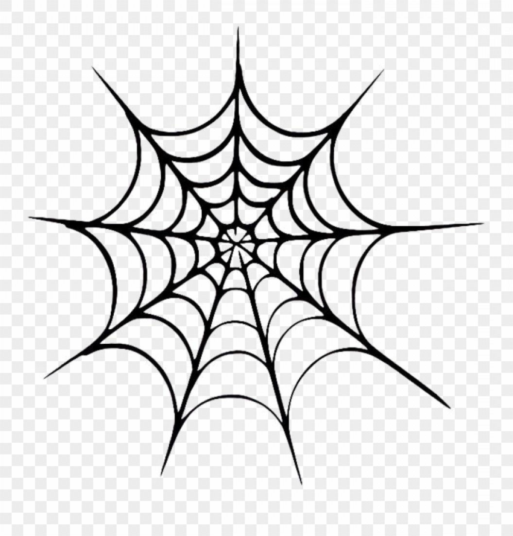 Wallpaper #1AAd1Y4BSdW8dNouzAke13 Spider Web Vector Free at Vectorifiedcom Collection of Spider Web