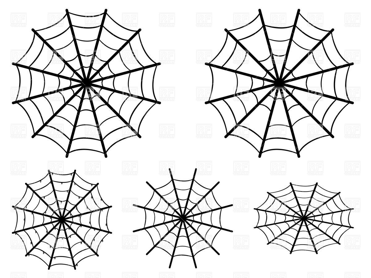 Wallpaper #52dP85IBSpphPi3-BnRA59 Spider Web Vector Free at Vectorifiedcom Collection of Spider Web