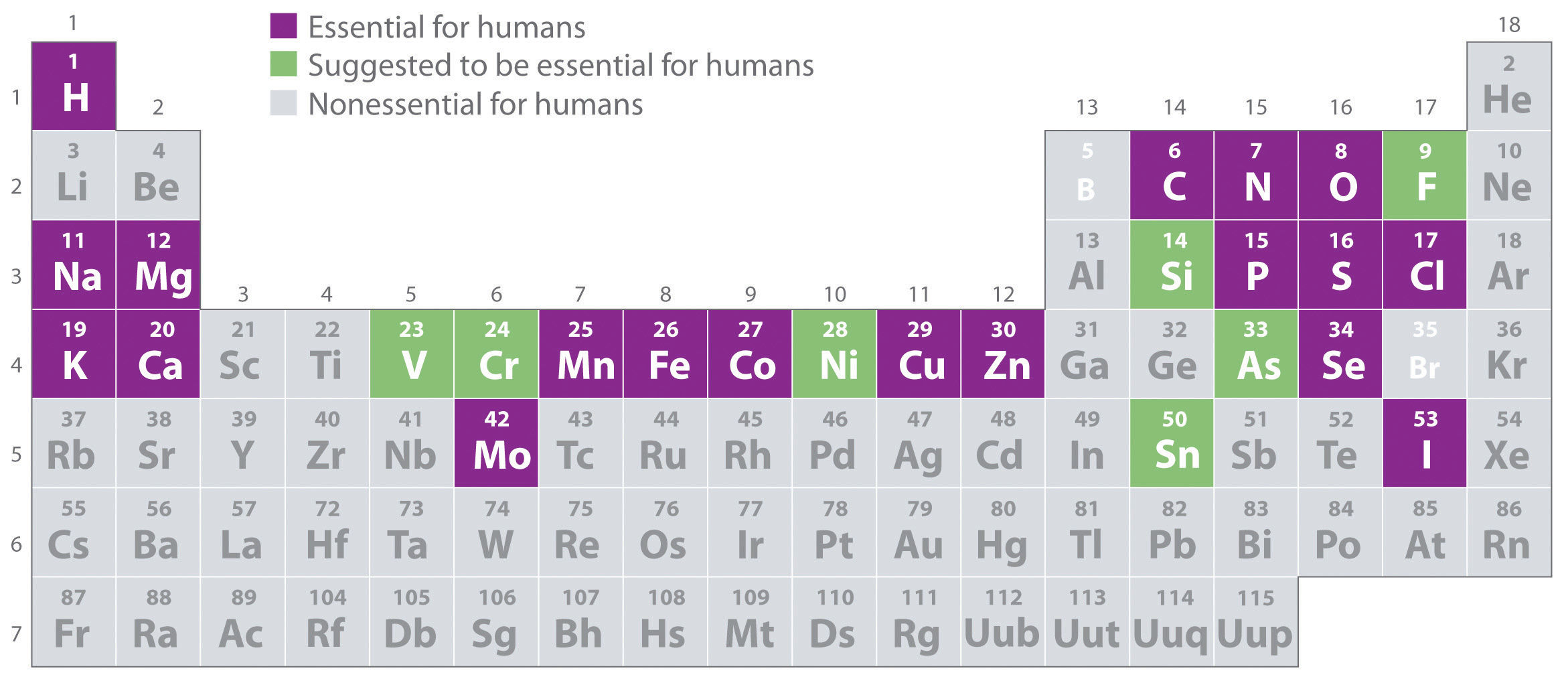 Wallpaper #IGjiG5MBSpphPi3-kyEc62 18 Essential Elements for Life Chemistry Libretexts