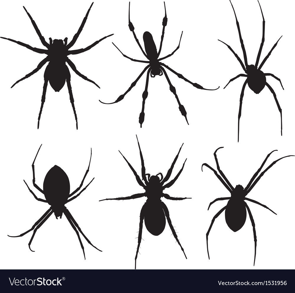 Wallpaper #71bf1 Pin by Kayleigh on Spider Drawings in 2024 Spiderman Drawing