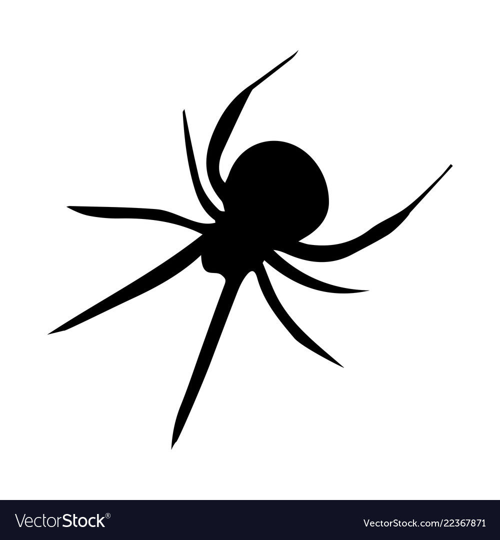 Wallpaper #71bf1 Pin by Kayleigh on Spider Drawings in 2024 Spiderman Drawing