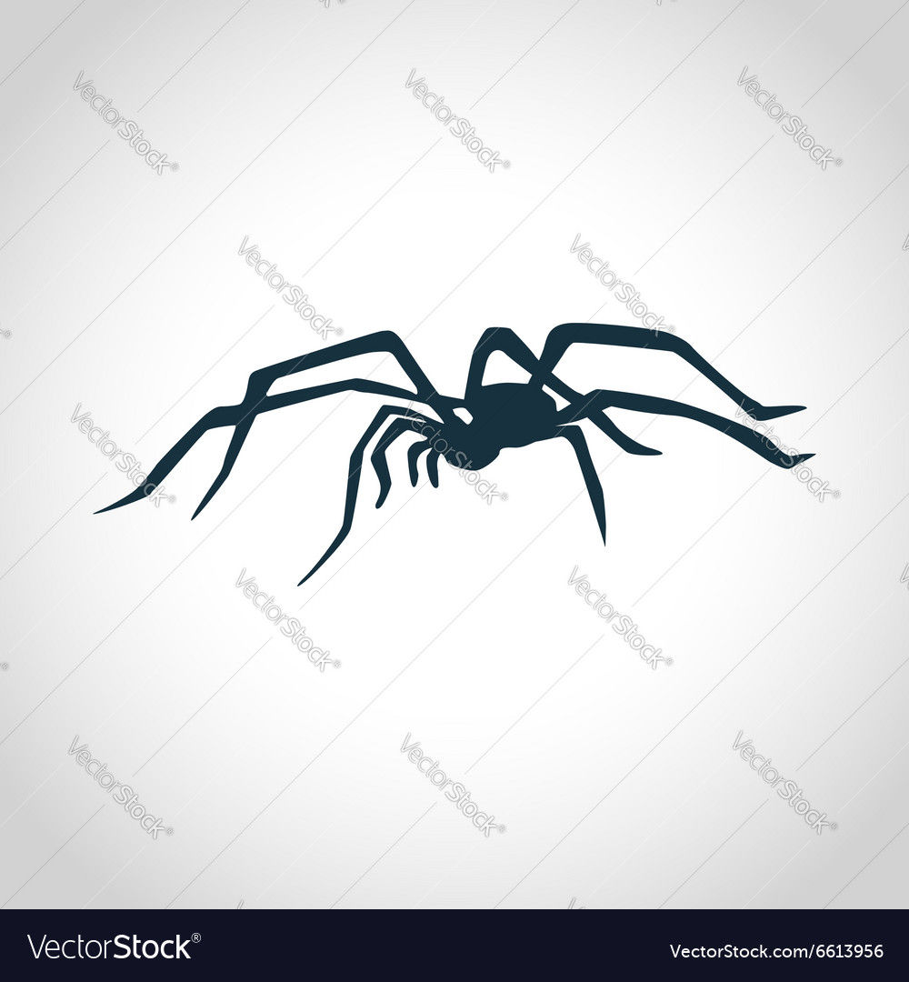 Wallpaper #71bf1 Pin by Kayleigh on Spider Drawings in 2024 Spiderman Drawing