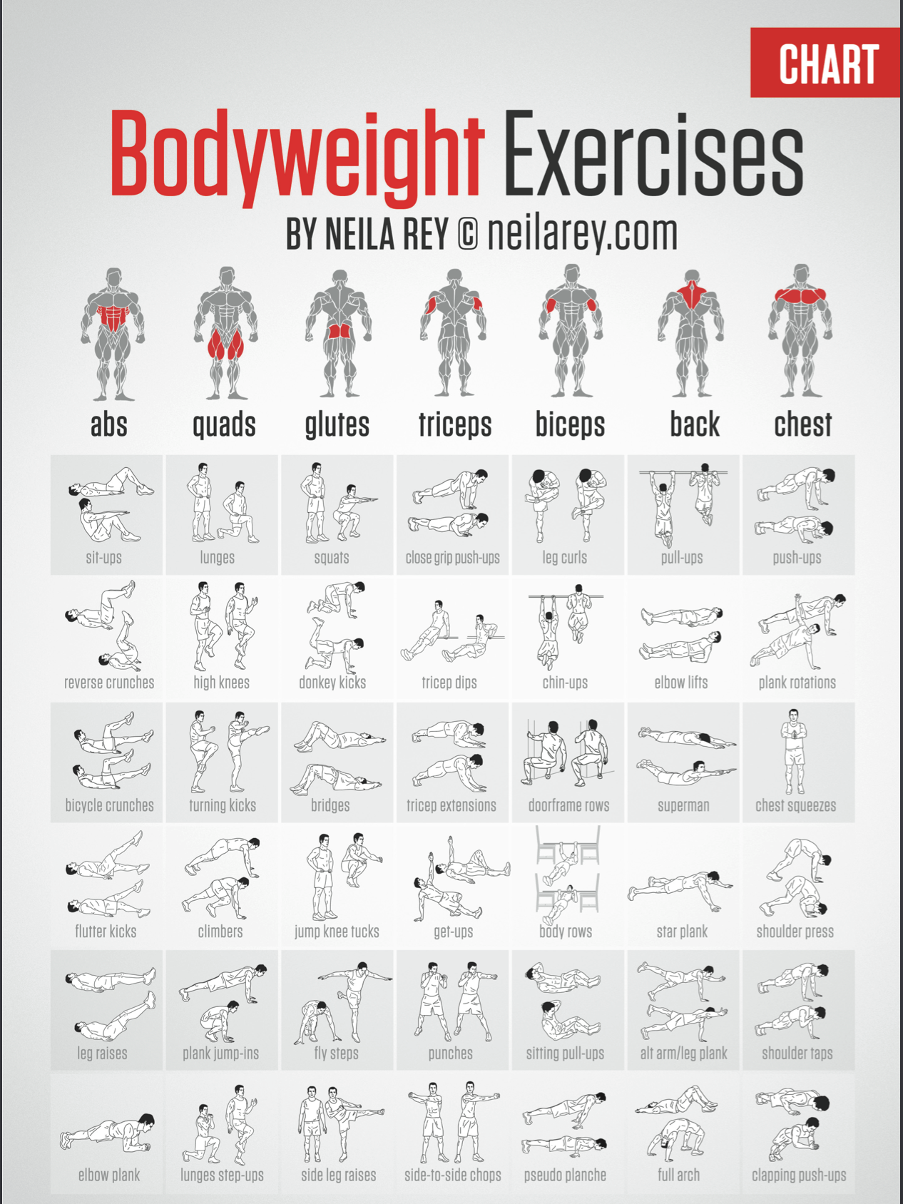 Wallpaper #FF7FB The Suspension Workout Chart Shows How to Do It and What You Can Do with It