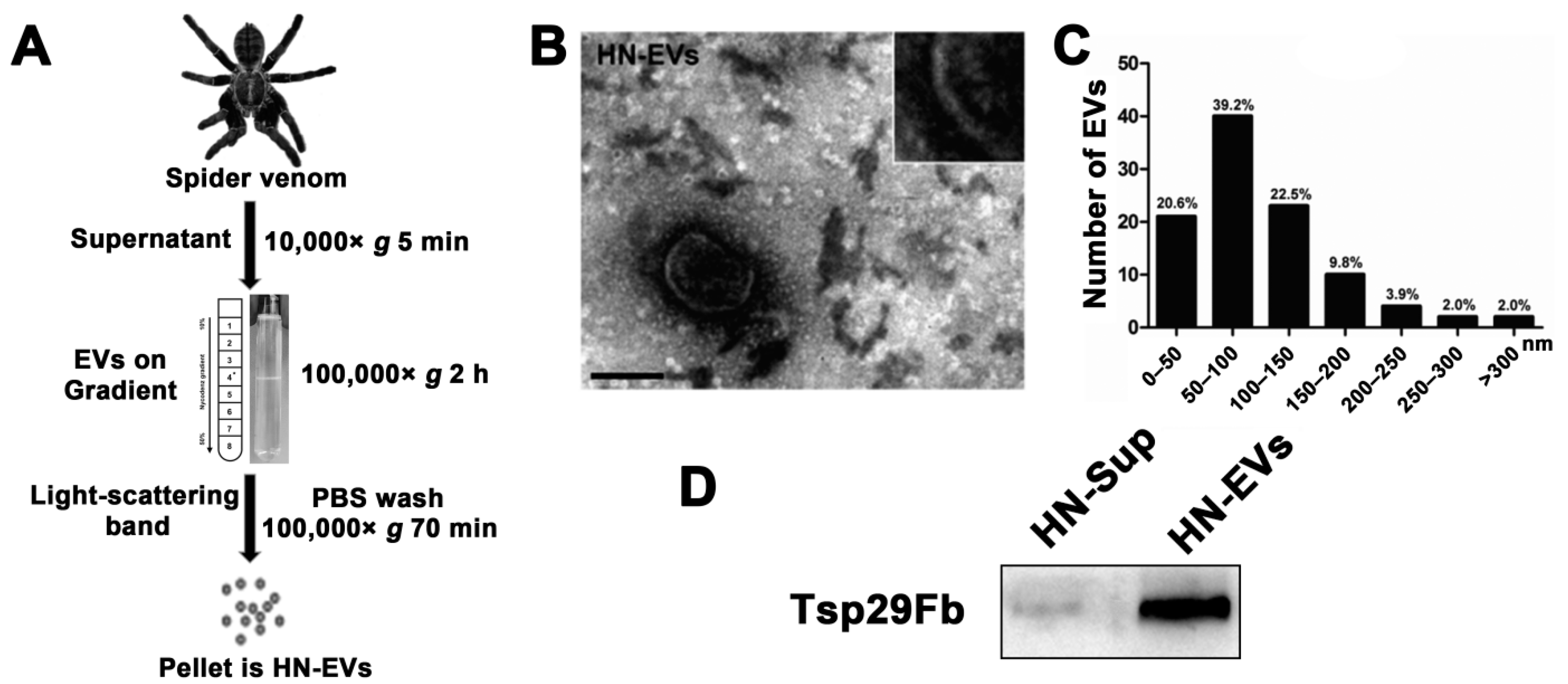 Wallpaper #8mcd_JIBSpphPi3-Y5bW56 Toxins Free Full Text Origin and Characterization of Extracellular