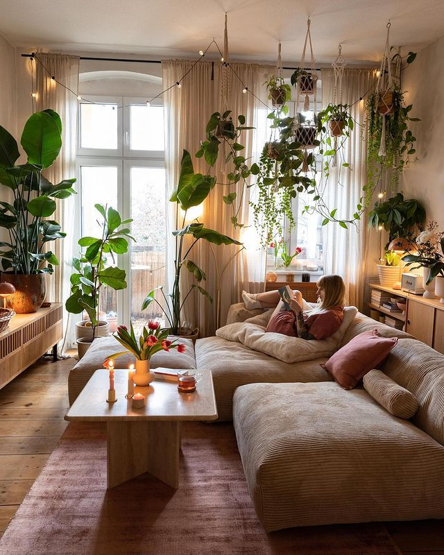 Wallpaper #b5610 30 Pretty House Plants Ideas for Living Room Decoration Living Room