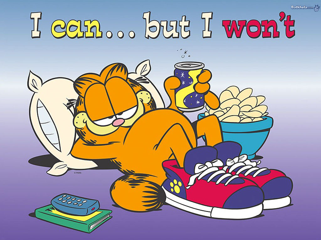 Wallpaper #QWcaCJMBSpphPi3-GMkr187 I Can but I Wont Garfield Wallpaper 262532 Fanpop